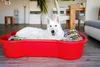 Piscine pour chiens DogsLand en forme d'os - 120 cm, rouge, Voir les images du produit 9