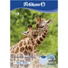 Zeichenblock Pelikan C3 10Blatt 100g Chlorfrei Produktbild-Vorschau 14