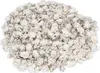 Patelloida saccharina, 0,5 kg, ca. 1-5cm, ca. 500-600 Stk. Produktbild-Vorschau 1