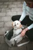 Hunter 2-in-1 Hunde-Tragetasche und Decke Seoul greige Produktbild-Vorschau 6