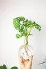 Flora Hydro Vase avec support métallique Voir les images du produit 2