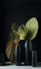 A still life arrangement of black vases with dried palm leaves. Produktbild-Vorschau