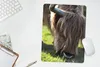 MuchoWow® Mauspad Mousepad Schottischer Highlander - Hörner Produktbild-Vorschau 5
