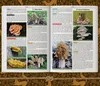 Wilderness Long-Term Survival Guide: Forgotten Skills to Produktbild-Vorschau 6