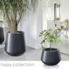 Two dark gray planters with plants in a modern interior setting. Anteprima dell’immagine prodotto