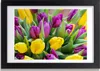 Bild 30x20 MDF-Rahmen, Wandkunst bunte Tulpen Produktbild-Vorschau 1