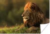 MuchoWow® Poster Sonnenaufgang - Löwe - Gras 30x20 cm - Produktbild-Vorschau 1