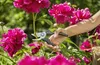 EcoLine Gartenschere Produktbild-Vorschau 9
