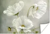 MuchoWow® Poster Blumen - Stillleben - Mohn - Weiß - Produktbild-Vorschau 1