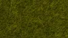 NOCH ( 07100 ) Prairie d'herbe sauvage, 6 mm 0,H0,TT,N Voir les images du produit 2