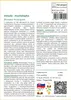 SAFLAX - Venuša - mucholapka - Dionaea muscipula - 10 Náhľad obrázku produktu 3