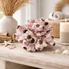 Seepocke 20 cm echte Barnacle Meeresdeko Maritim Produktbild-Vorschau 4