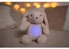 Cloud b® Love Light Buddies - Billy Bunny ™ Nočné svetielko Náhľad obrázku produktu 19