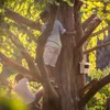 Relaxdays Nistkasten für Halbhöhlenbrüter, Garten & Produktbild-Vorschau 3