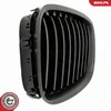 ESEN SKV 66SKV177 Kühlergrill Frontgrill für BMW 5 GT (F07) Produktbild-Vorschau 9