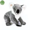 RAPPA Peluche koala debout 25 cm ECO-FRIENDLY Voir les images du produit 5