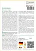 SAFLAX - Drachenbaum - Dracaena Draco - 5 Samen - Mit Produktbild-Vorschau 3