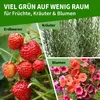 TTL GARDEN 2x 25L Pflanzsack hängend stehend Erdbeer Produktbild-Vorschau 6