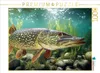 CALVENDO Puzzle Ein majestätischer Hecht, der durchs klare Produktbild-Vorschau 1