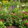 Grate per rampicanti Relaxdays, set da 4, A x L: 82 x 31 Anteprima dell’immagine prodotto 2