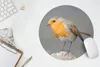 MuchoWow® Mauspad Mousepad Vogel - Rotkehlchen - Felsen Produktbild-Vorschau 5