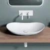 doporro Lavabo da Appoggio Ovale in Vetroceramica Bianco Anteprima dell’immagine prodotto 3