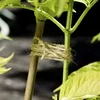 Windhager ÖKO Flachs Gartenschnur, extra stark und Produktbild-Vorschau 2