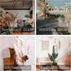 set di 10 erbe di pampa XXL (100 cm) per decorazioni boho - Anteprima dell’immagine prodotto 7