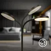 Briloner MEGG Lampada da tavolo LED, dimmerabile, touch, Anteprima dell’immagine prodotto 3