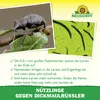 Neudorff Nützlinge gegen Dickmaulrüssler – 5 Mio. Produktbild-Vorschau 4