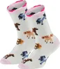 TippTexx 24 6 Paar Kinder Socken, handgekettelt, für Produktbild-Vorschau 3
