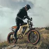 Elektrofahrrad, 48 V, 14 Ah und 20 Ah, Doppelbatterie, 20 x Produktbild-Vorschau 11