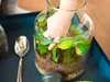 Gardners Substrát pro osazování terárií, 3 l Náhled obrázku produktu 3