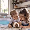 gabbia per porcellino d’India, Furrever Friends Piggy 50, Anteprima dell’immagine prodotto 3