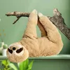 A plush sloth toy hanging from a tree branch against a green background. Produktbild-Vorschau