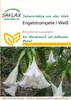 Artikelbild 1 von 'Engelstrompete Weiß' aus der Kategorie Blumensamen Náhled obrázku produktu