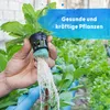 Blusana Hydroponik Flüssigdünger 1 Liter NPK 7-3-6 Produktbild-Vorschau 6