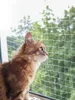 Kerbl Katzen-Schutznetz 6x3 m Transparent Produktbild-Vorschau 6