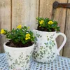 Two potted plants with yellow flowers are displayed in decorative pots against a wooden background. Podgląd zdjęcia produktu