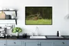 MuchoWow® MuchoWow® Gerahmtes Poster Hirsche - Gras - Wald Produktbild-Vorschau 3