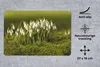 MuchoWow® Mauspad Mousepad Sträußchen von Schneeglöckchen Produktbild-Vorschau 2