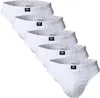 CECEBA Herren Slips, 5er Pack - Sport Slip, Basic, Produktbild-Vorschau 1
