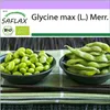 SAFLAX - BIO - Fazole - Edamame - Glycine max (L.) Merr. - Náhled obrázku produktu 10