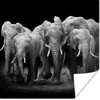 MuchoWow® Poster Elefant - Schwarz - Weiß - Tiere 75x75 cm Produktbild-Vorschau 1