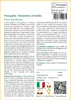 SAFLAX  - Pino giallo - 20 semi - Pinus Anteprima dell’immagine prodotto 3