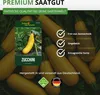 Zucchini Gold Rush F1 Samen - Cucurbita pepo - Produktbild-Vorschau 8
