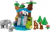 LEGO LEGO® DUPLO 10446 Famiglie di animali selvatici 3 in 1 Anteprima dell’immagine prodotto 13