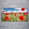 Acrylglasbilder 120x60 Wandbild Druck Wiese Blumen Natur Produktbild-Vorschau 2