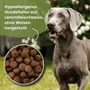 DR JOHN Hypoalergénne jahňacie s ryžou - suchá krmivo pre Náhľad obrázku produktu 5