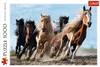 Puzzle 1000 : Chevaux au galop Voir les images du produit 3